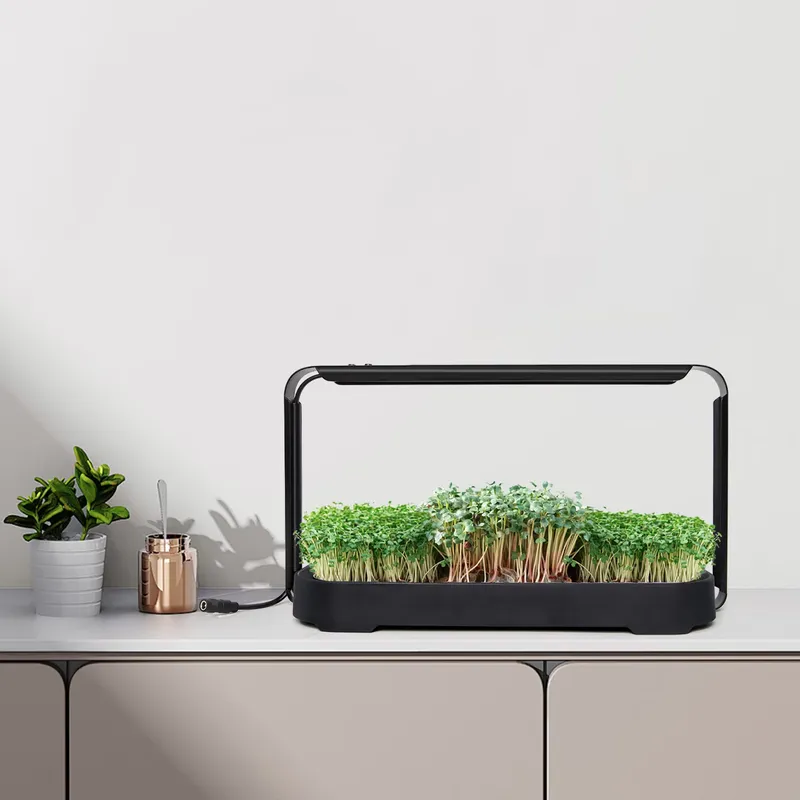 Система для выращивания микроз – обзор и цена Self-Watering Planter