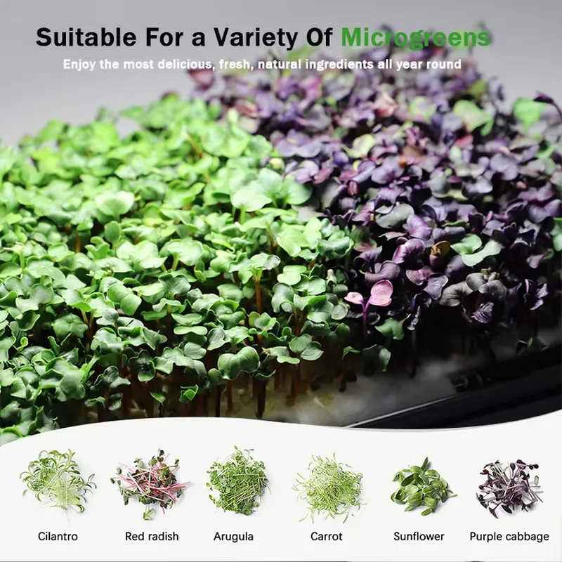 Система для выращивания микроз – обзор и цена Self-Watering Planter