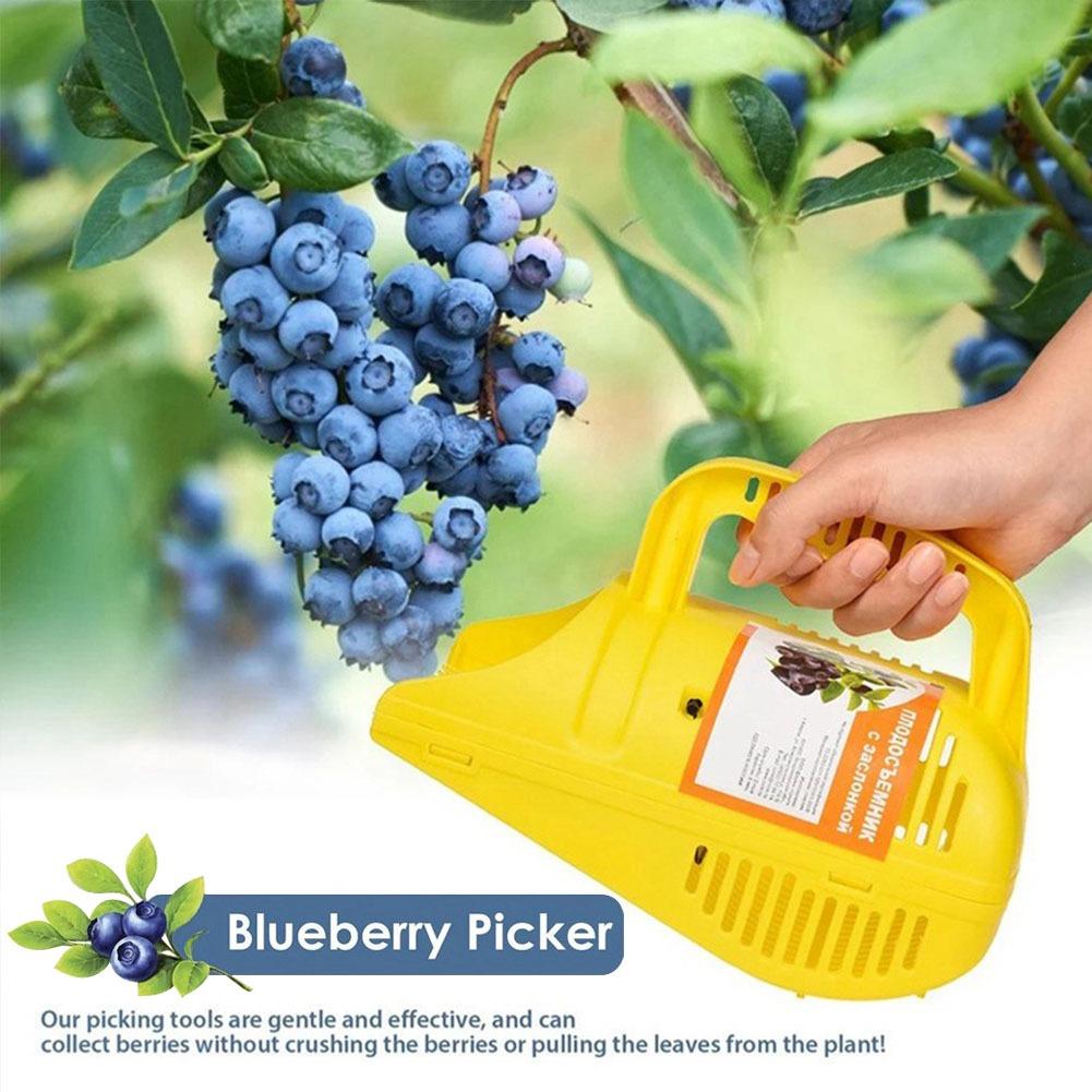 Инструмент для сбора черники с – обзор и цена Gardening Tools Must Haves
